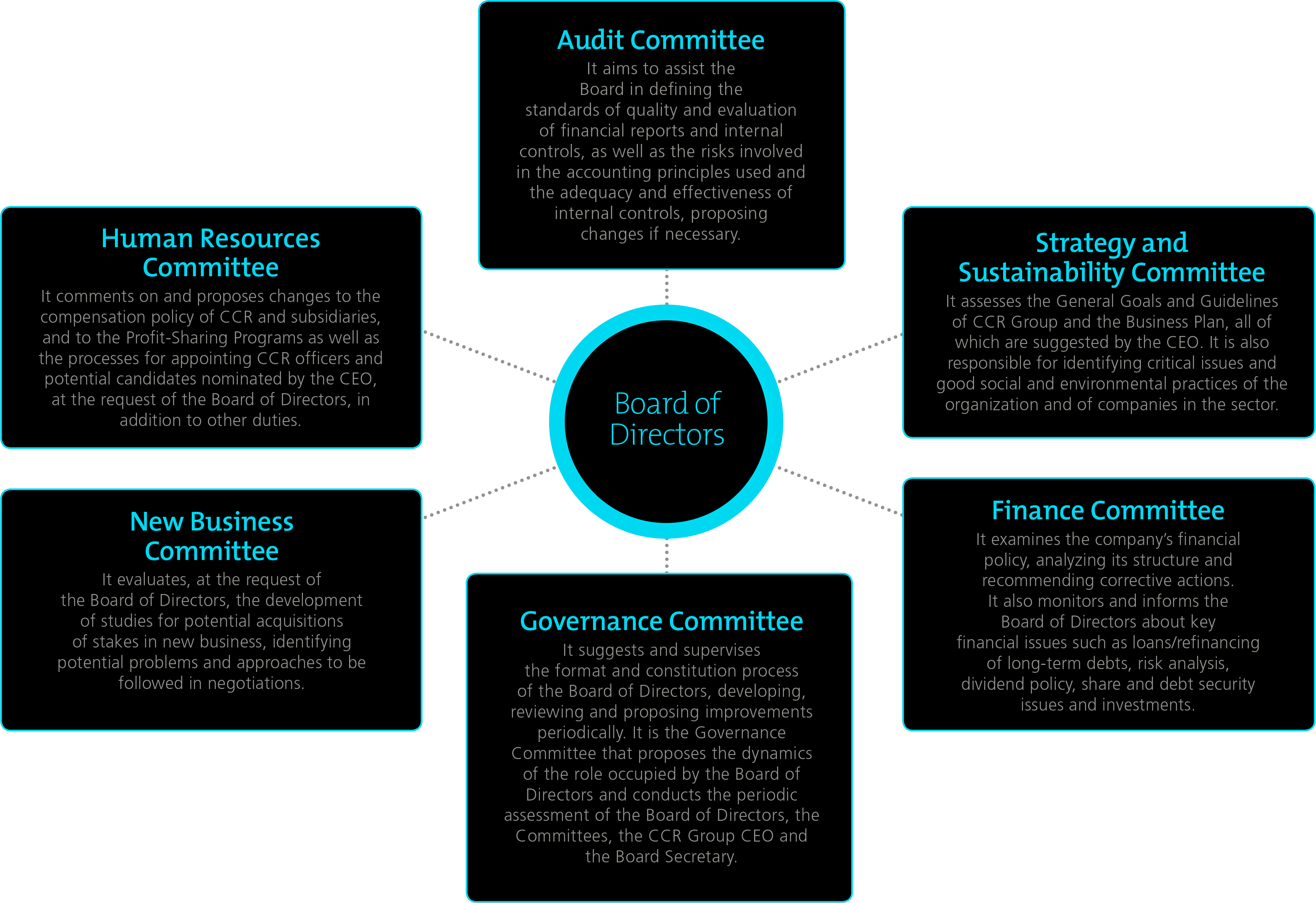Conselho de administracao, comites