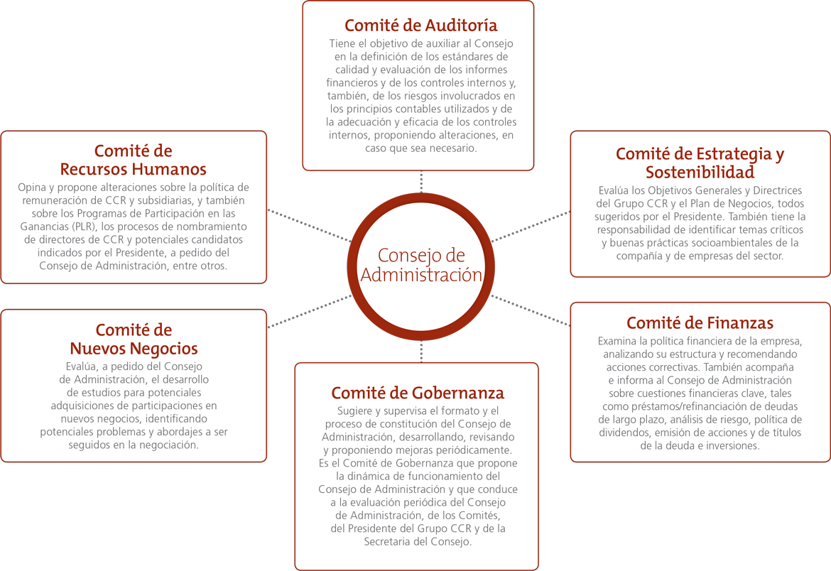 Conselho de administracao, comites