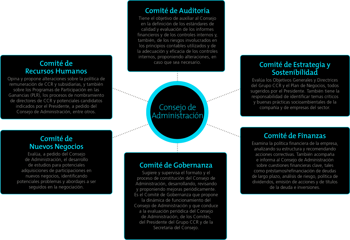 Conselho de administracao, comites