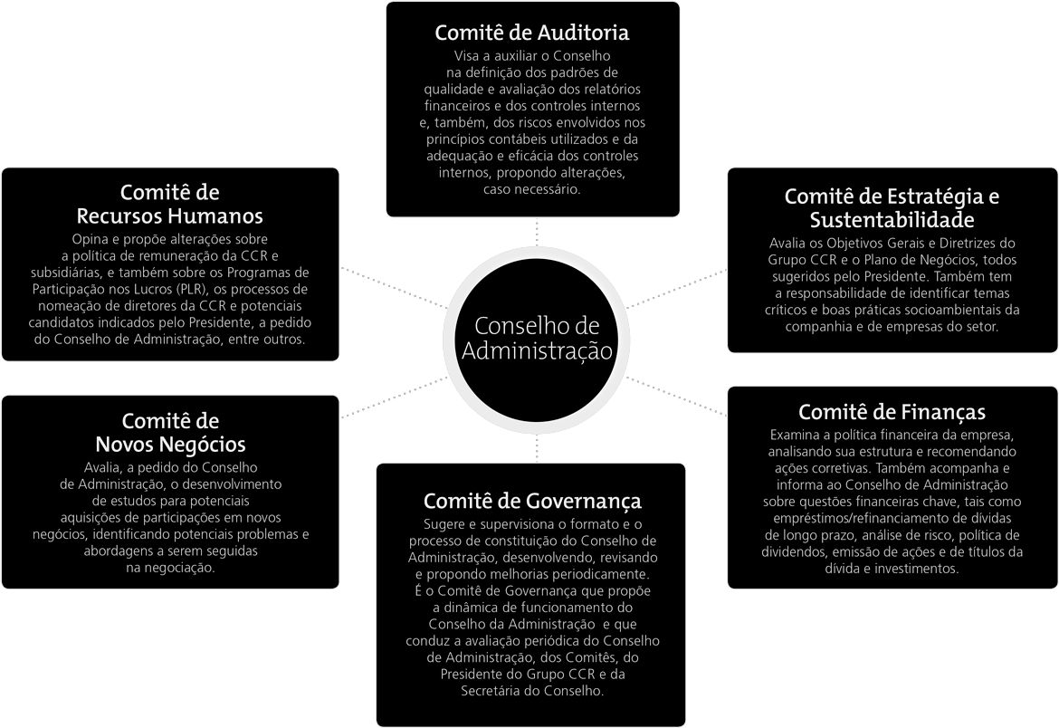 Conselho de administracao, comites
